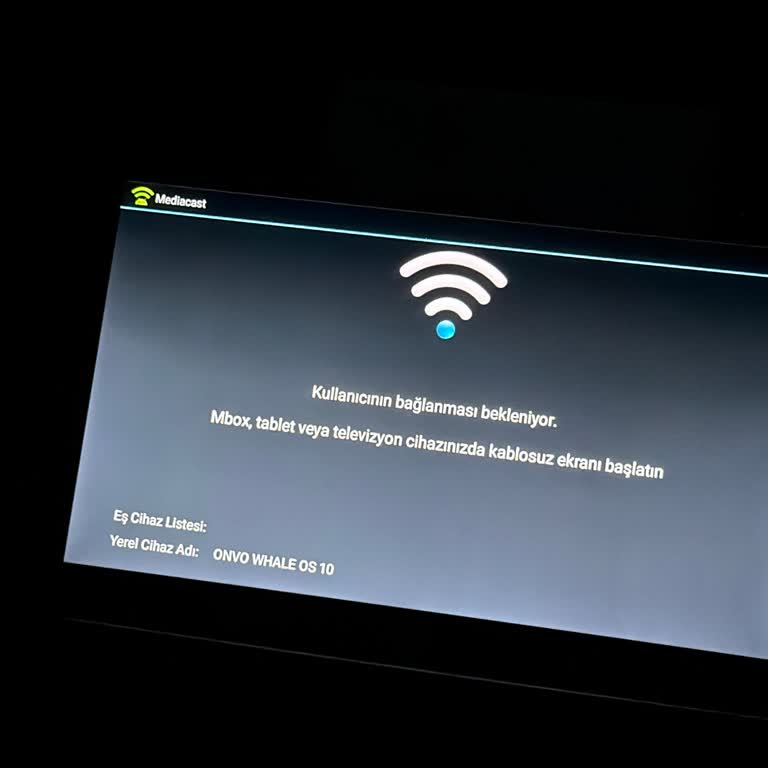 Onvo Whale OS Series 10 Televizyonda Yavaş Performans Ve Ekran Paylaşımı Sorunu