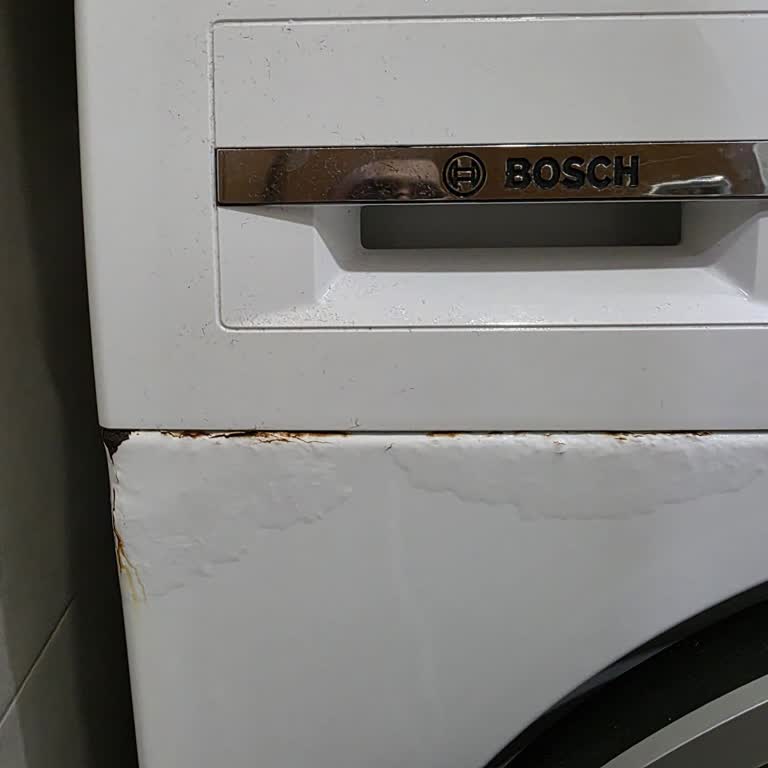 Bosch Serie 4 Çamaşır Makinesinde Kapak Kısmı Ve Deterjan Dolum Bölümünde Paslanma Ve Boya Kusması