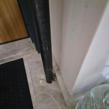Fiber Nakilinde Teknisyenin Verdiği Hasar Ve Müşteri Hizmetlerinden Cevap Almama