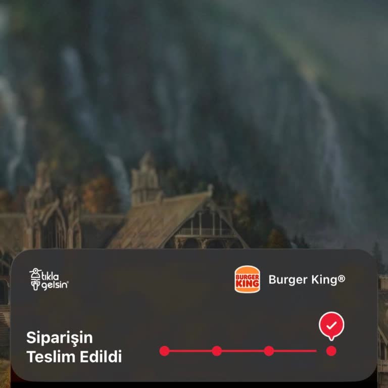 Burger King Demir Country’de Teslim Edilmeyen 590 TL’lik Siparişin Sistemde Teslim Edildi Olarak Gösterilmesi Ve İade Talebi