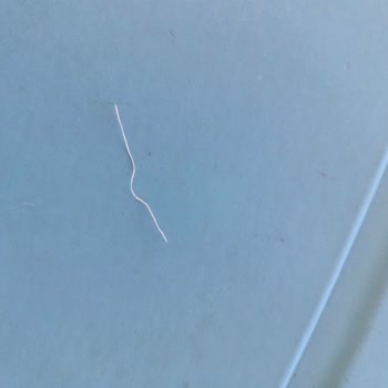 Makarna Lütfen Bebek Püresinde Plastik Benzeri Yabancı Madde Bulundu