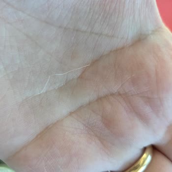 Makarna Lütfen Bebek Püresinde Plastik Benzeri Yabancı Madde Bulundu