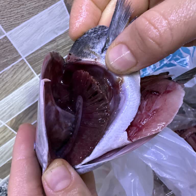 Niğde Bor Migros Şubesinde Bayat Balık Satışı Ve Ücret İadesi Talebi