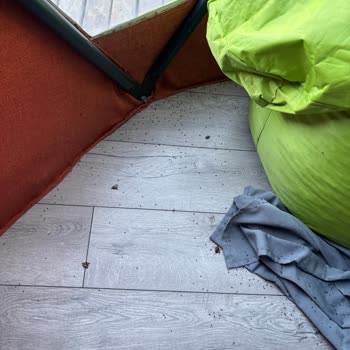Alf Resort Sapanca Bungalow’da Hijyen Ve Güvenlik Sorunları Nedeniyle Tam Ücret İadesi Talebi