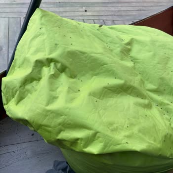 Alf Resort Sapanca Bungalow’da Hijyen Ve Güvenlik Sorunları Nedeniyle Tam Ücret İadesi Talebi