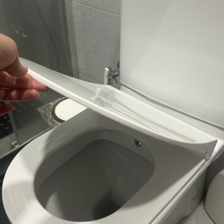 Turkuaz Bela Klozet Kapağının Hızlı Bozulması Ve Yedek Parça Talebi