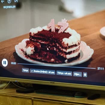 Arçelik A49L 8860 5S Televizyonda Netflix İzlerken Sürekli Donma Ve Yazılım Güncellemesi Eksikliği