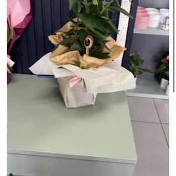 Sipariş Edilen Lilyum Ürünün Görsel İle Uyumsuzluğu Ve İade Talebinin Reddi