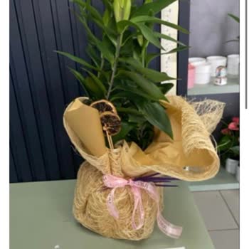 Sipariş Edilen Lilyum Ürünün Görsel İle Uyumsuzluğu Ve İade Talebinin Reddi