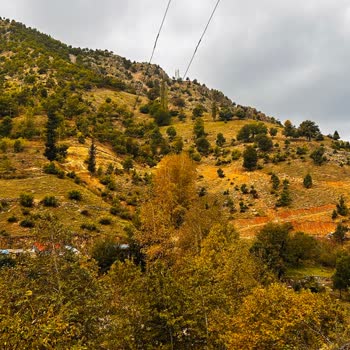 Erce Elektrik Hat Yenileme Çalışmalarıyla İlgili Bir Mağduriyet Yaşıyoruz