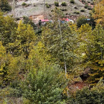 Erce Elektrik Hat Yenileme Çalışmalarıyla İlgili Bir Mağduriyet Yaşıyoruz