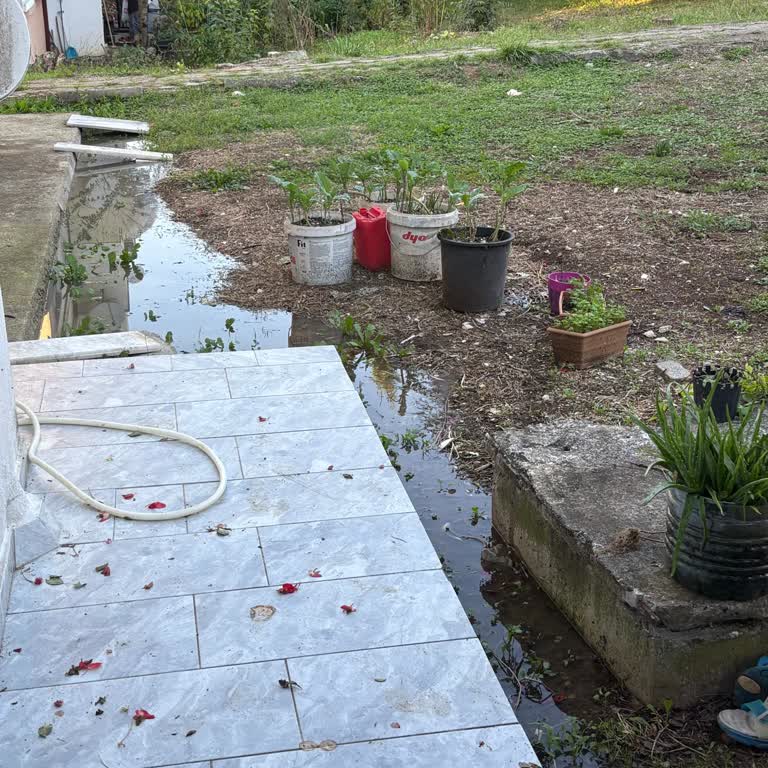 SASKİ Rögar Taşkını İçin Acil Müdahale Ve Temizlik Talebi Gecikiyor