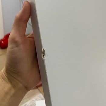A101 Ekstra’da Hasarlı Dolap İadesi Gecikmesi Ve Açıklama Talebi