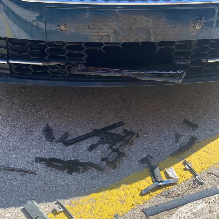 Bolu Koru Hotel Otoparkında Sahipsiz Köpeklerin Araca Zarar Vermesi Ve Sorumluluk Reddi