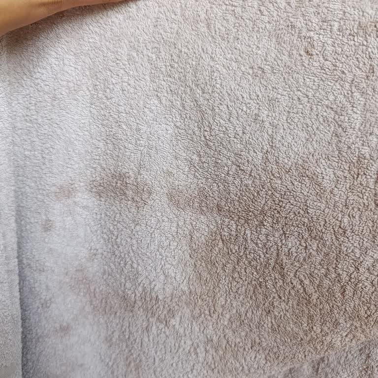 Sosyal Medyada Yanıltıcı Reklamlar Ve Deterjanın Temizlik Performansından Hayal Kırıklığı