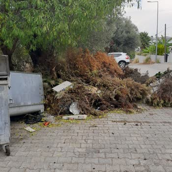 Alaçatı Mahallesinde Yoğun Yeşil Atık Birikimi Çöp Konteynerini Engelliyor