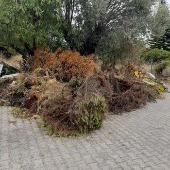 Alaçatı Mahallesinde Yoğun Yeşil Atık Birikimi Çöp Konteynerini Engelliyor