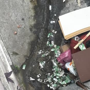 Kağıthane'de Fare Ve Çöp Sorunu İçin Sağlık Müdürlüğünden Acil İnceleme Talebi