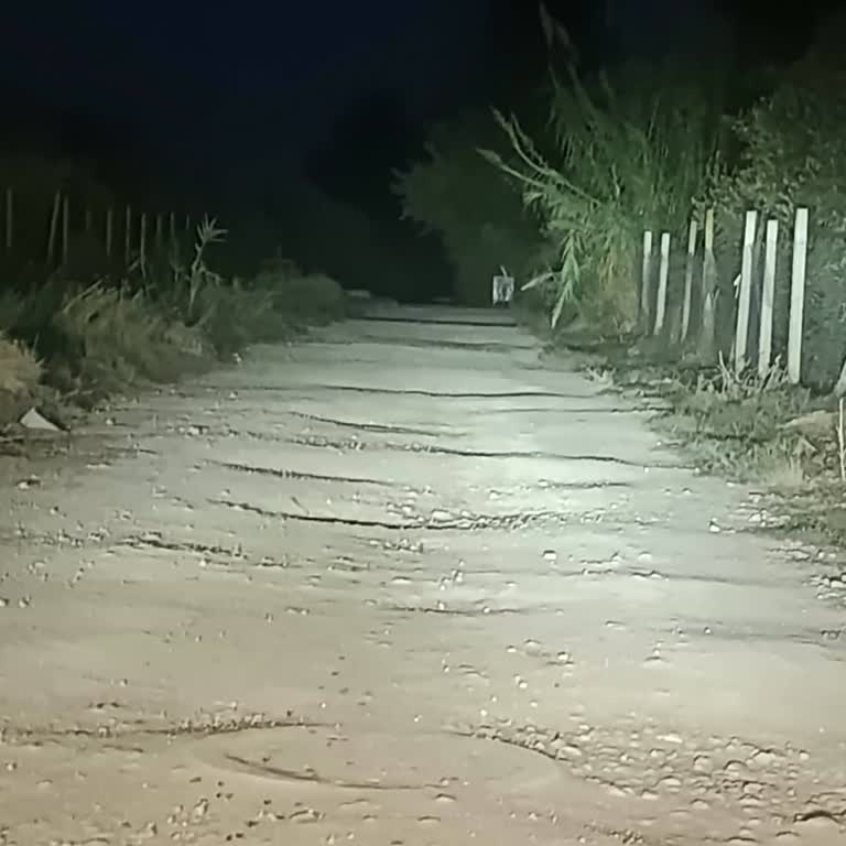 Mersin Akdeniz Anadolu Mahallesi Arman Sokakta Çukurlu Yolun Acilen Onarılmasını Talep Ediyorum