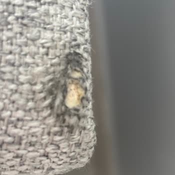 Mondi Home Cevizli Şubesinde Yırtık Koltuk Teslimatı Ve İade Talebi