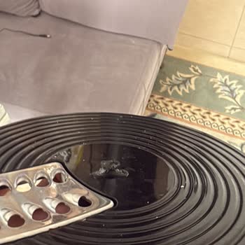 Schafer Chef Blend Mega Set Taşıyıcı Diskinin Kendiliğinden Kırılması Ve Garanti Kapsamı Dışı Reddi