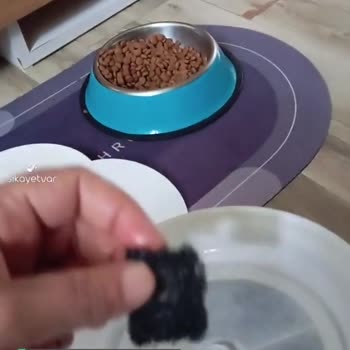 Evofone Petkit Su Pınarı Filtre Süngeri Temini