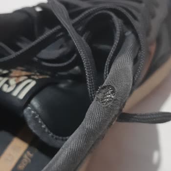 U. S. Polo Assn Erkek Spor Ayakkabısında Bağcık Yırtılması Ve Bombelenme, Mağazadan Reddetme Cevabı