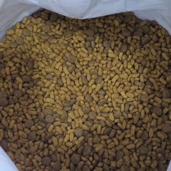Pro Plan Kedi Maması Üretim Ve Paketleme Karışıklığına Yanıtsız Kalınması