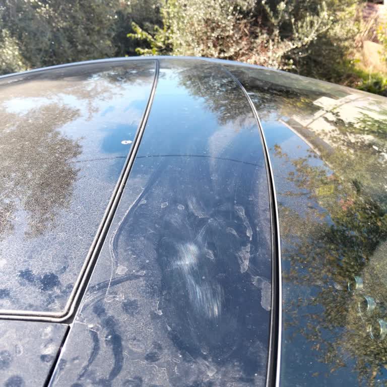 Renault Megane 4 İcon Tavan Çıtasındaki Çatlak Garanti Kapsamına Alınmadı