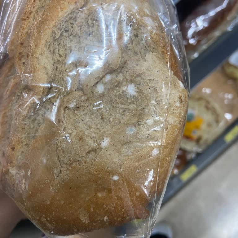 Kestel BİM Şubesinde Tarihi Geçmiş Ve Küflü Ekmek Satışı