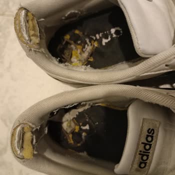 Adidas Beyaz Spor Ayakkabının Kısa Sürede Yırtılması Ve Garanti Kapsamında Değişim Talebi