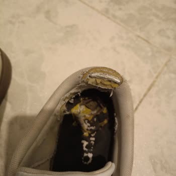 Adidas Beyaz Spor Ayakkabının Kısa Sürede Yırtılması Ve Garanti Kapsamında Değişim Talebi