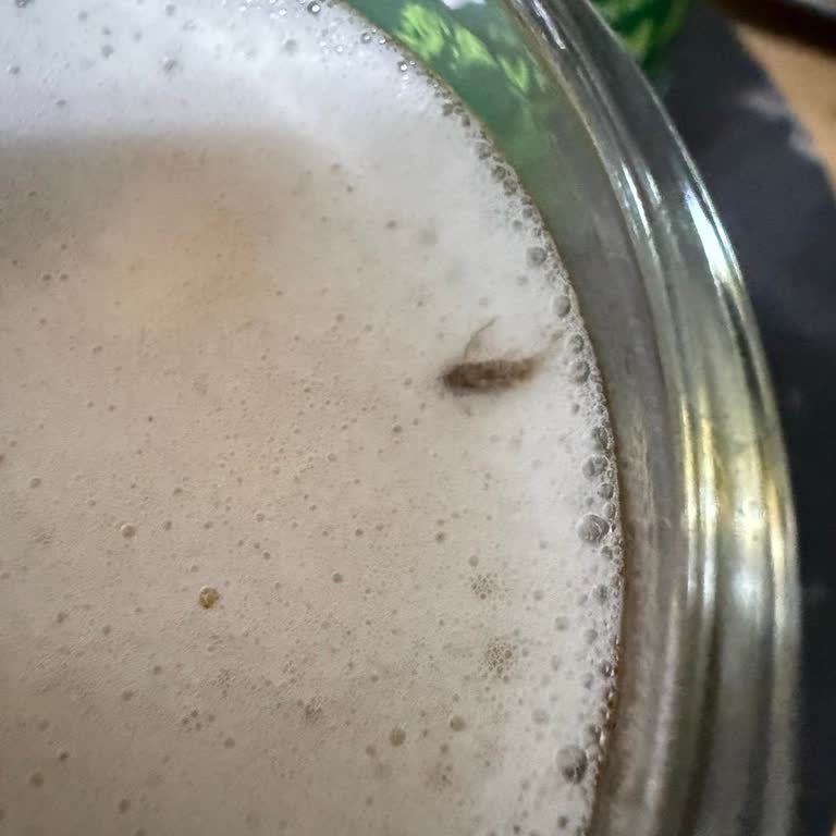 Carlsberg Bira Kutusundan Şok Edici Yabancı Madde Dökülmesi