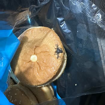 Denizli BİM’de Satın Alınan Hamburger Ekmeğinde Kocaman Siyah Böcek Tespit Edildi