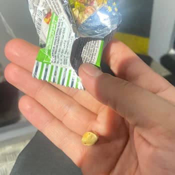Tadımca Barında Antep Fıstığı Kabuğu Bulunması, Hijyen Ve Boğulma Riski