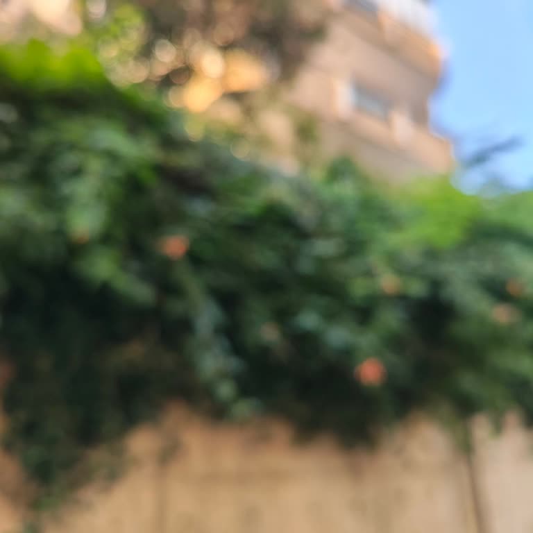 Oppo 14 Pro Kamera Sorunu Tekrar Servise Gönderilmesi Ve Para İadesi Talebi