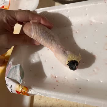 Beypiliç Bagetlerde Küfe Benzeri Siyah Lekeler, Aşırı Kötü Koku Ve Sağlık Riski