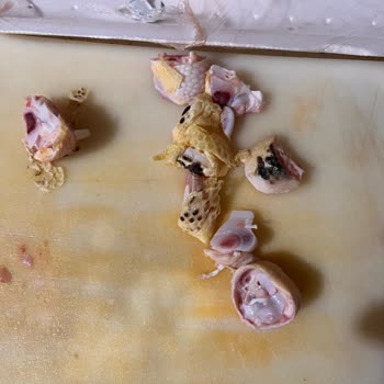 Beypiliç Bagetlerde Küfe Benzeri Siyah Lekeler, Aşırı Kötü Koku Ve Sağlık Riski