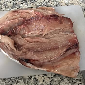 Migros Balık Reyonunda Bayat Ve Kurtlu Balık Şikayeti