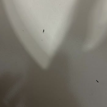 Neoflam Tencere Seti Deforme, Ayıplı Ürün Değişimi Talebi