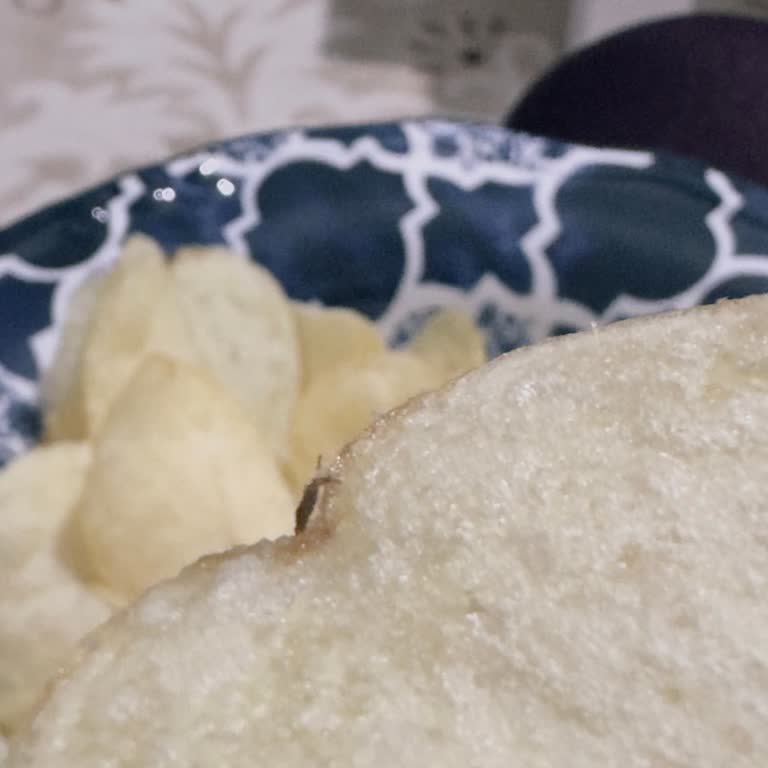 Lays Cipsinde Böcek Keşfi Ve Sağlık Şikayeti