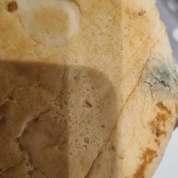 Son Kullanma Tarihi Geçmemiş UNO Gurme Hamburger'da Küflü Ekmek