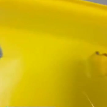 Dolu Toy Factory Plastik Kalitesiz Çıktı