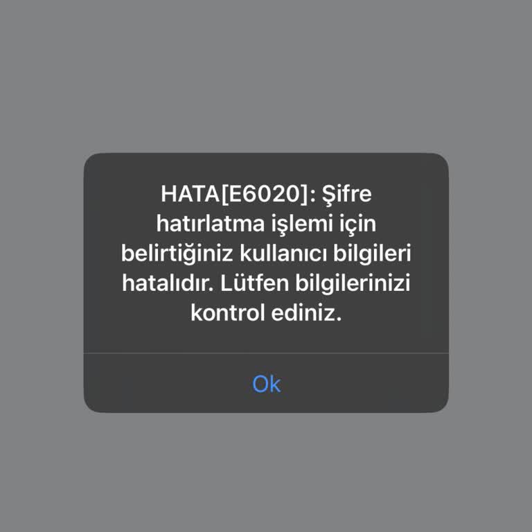 IBB Genç Üniversiteli Burs Sistemi Giriş Hatası Ve Şifre Sıfırlama Sorunu