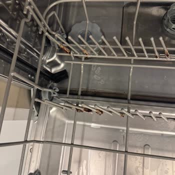 Teka Bulaşık Makinesi Sepetindeki Pas Sorunu Ve Yetkili Servis İlgisizliği