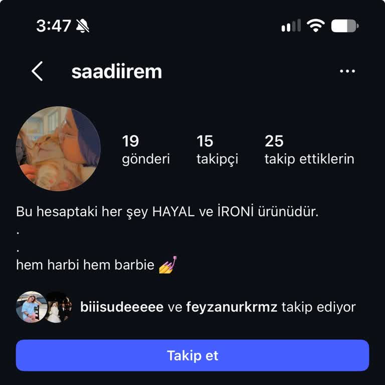 Instagram Hesabımın Şifre Sorunu Ve Kimlik Doğrulama Engeli