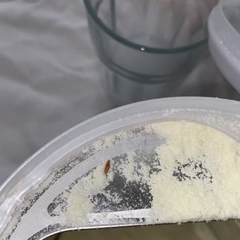 Bebek Maması İçinde Böcek Benzeri Yabancı Cisim Bulunması