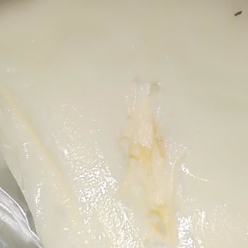 Migros Online'dan Satın Alınan La Vache Qui Rit Peynirinde Böcek Benzeri Yabancı Madde