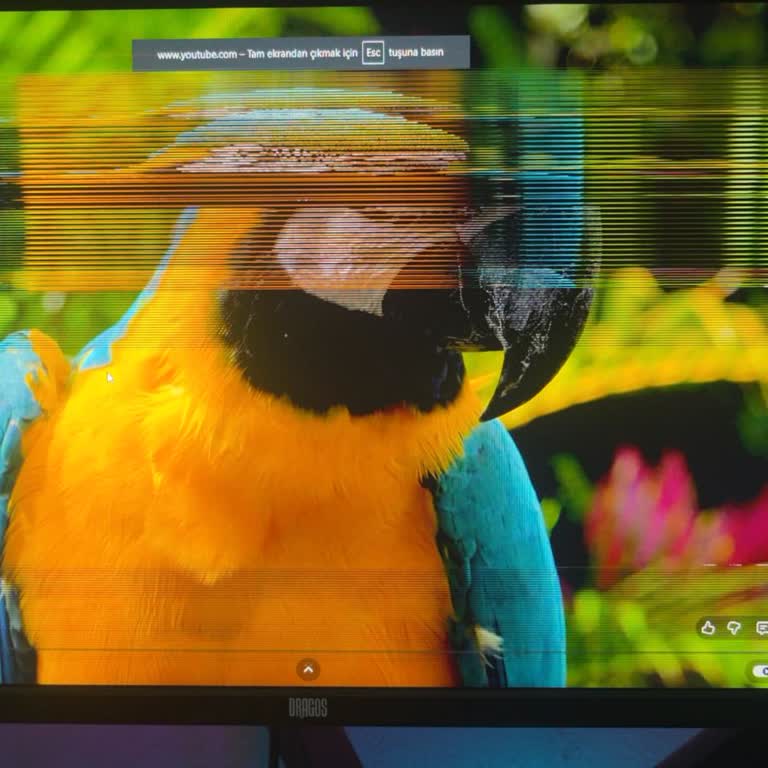 Atom Bilişim'de Garanti Kapsamındaki Arızalı Monitör İçin İade Talebi Ve Cevapsız Müşteri Hizmetleri