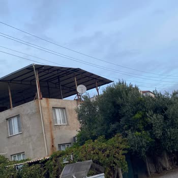 İzmir Torbalı Yazıbaşı Bölgesinde Düşen Elektrik Telleri Yangın Ve Can Güvenliğini Tehdit Ediyor